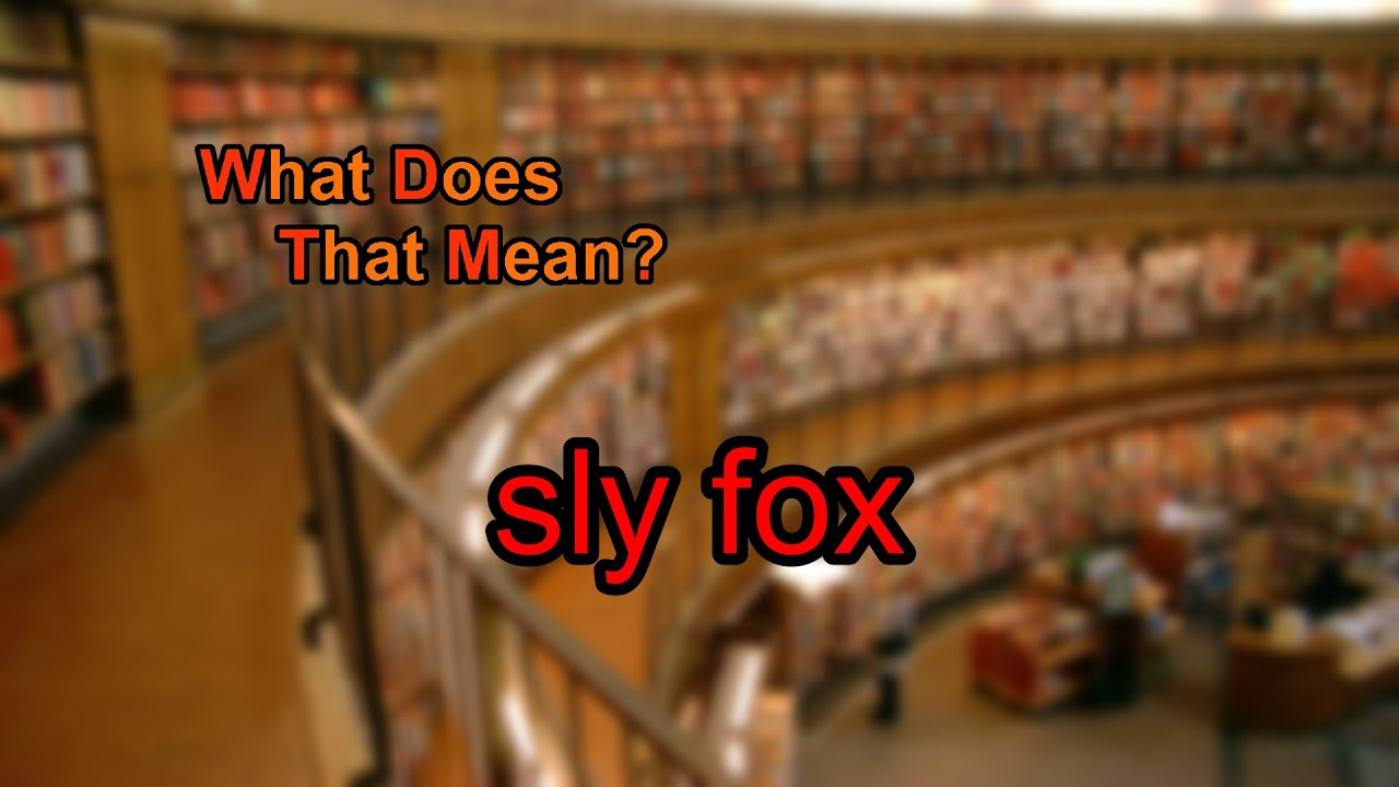 what does sly mean