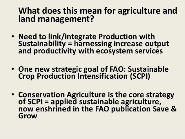 what does fao mean