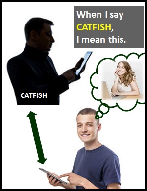 what does catfish mean